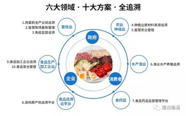 如何用物聯網技術“解決”地溝油等餐飲安全問題
