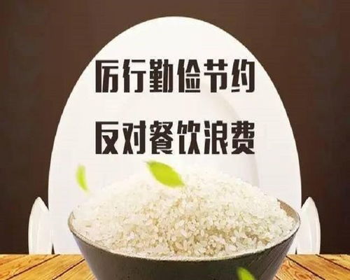 餐飲企業(yè)在治理 舌尖上的浪費 方面大有可為